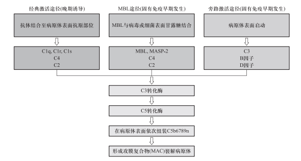 640 (1).png