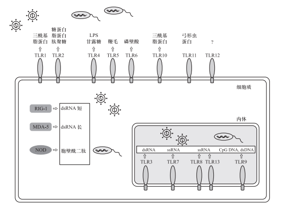 640 (2).png