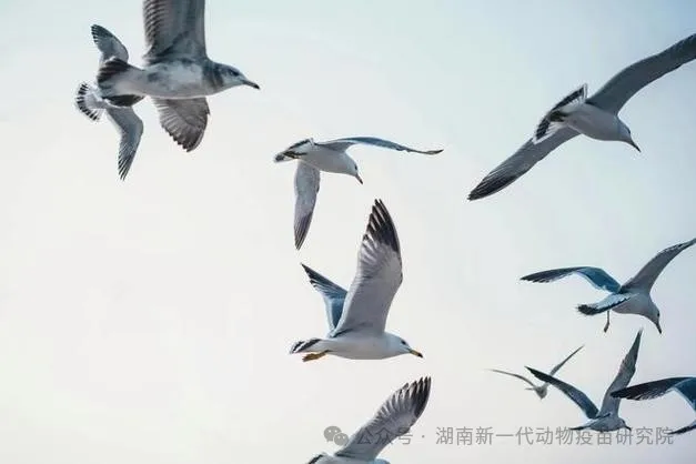 微信图片_20240703144332.png